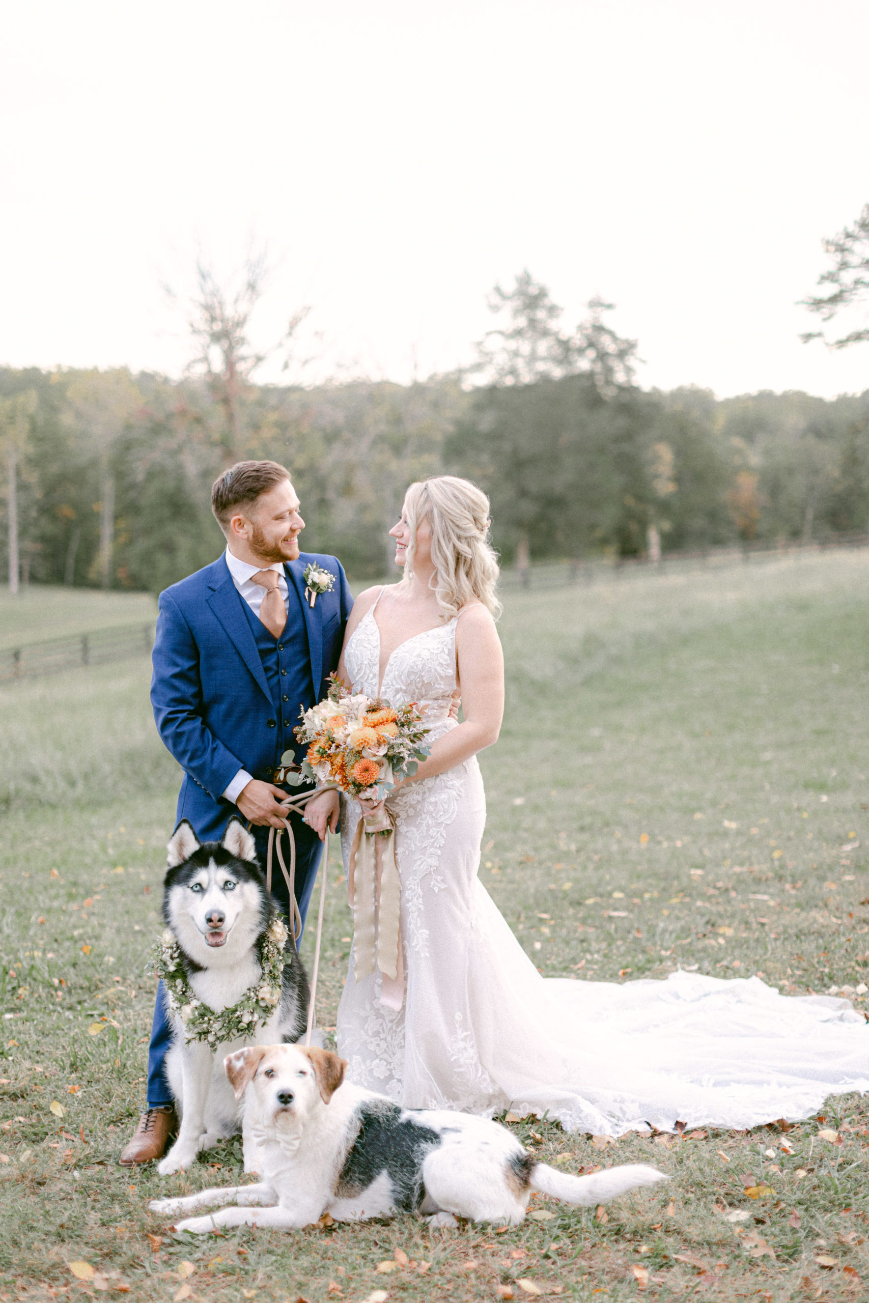 bride and groom photos with dogs