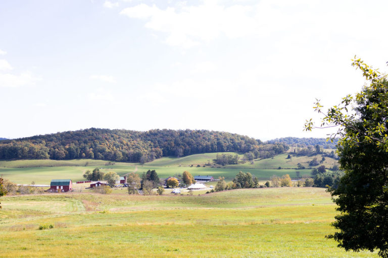 Beautiful Outdoor Wedding on a Farm in Charlottesville, VA