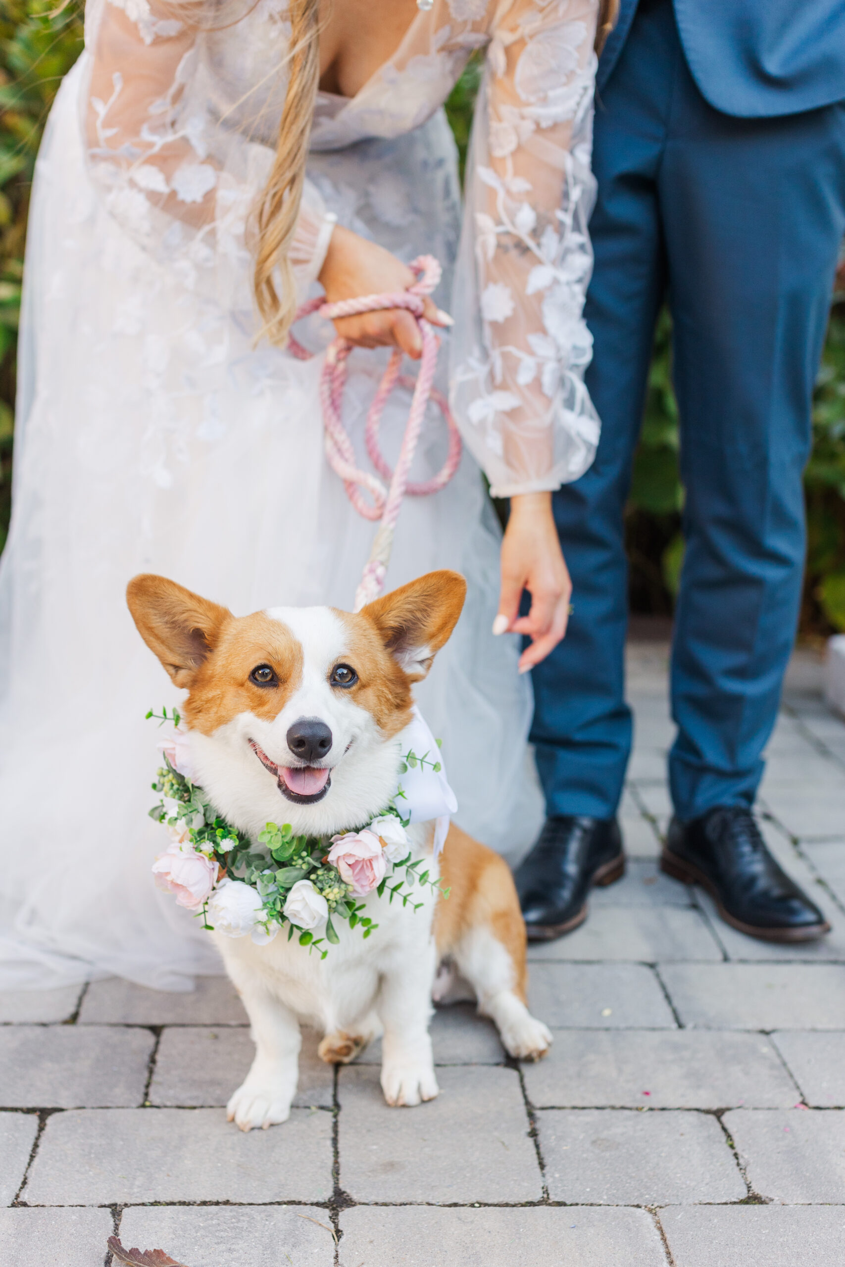 garden wedding dog