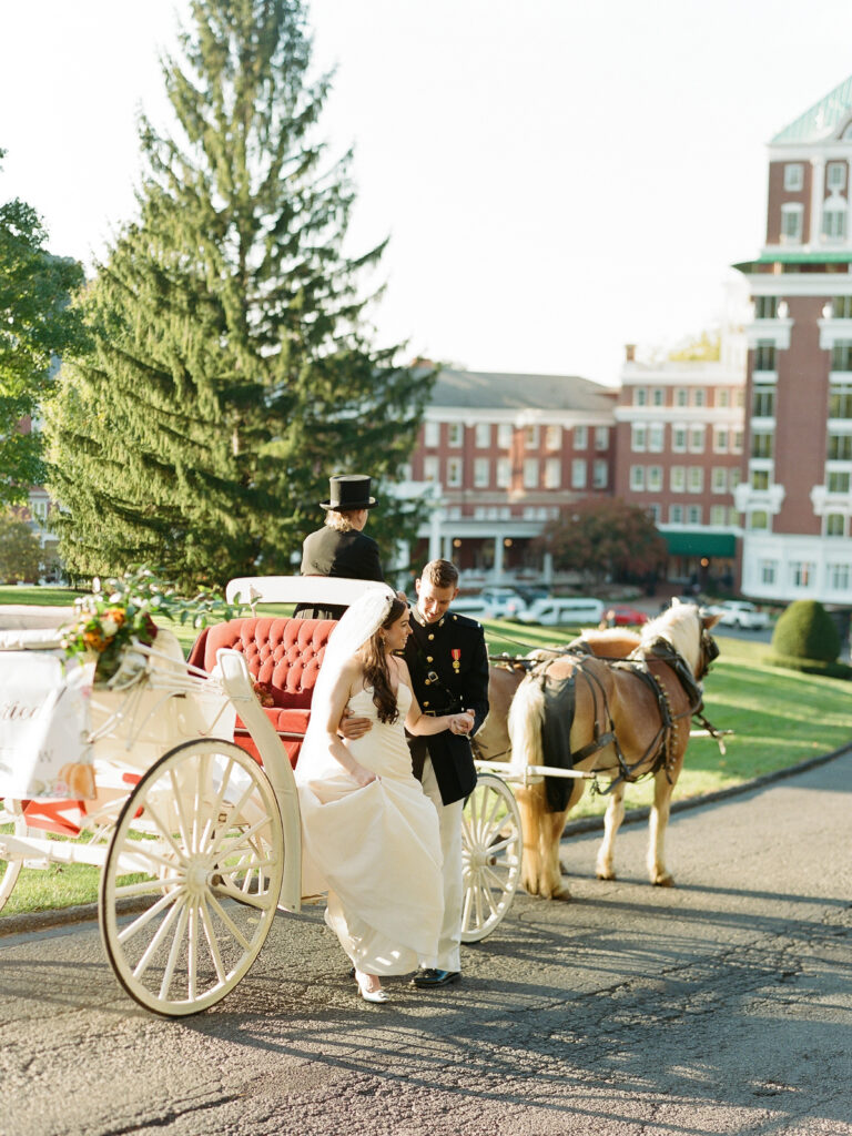 horse drawn carriage