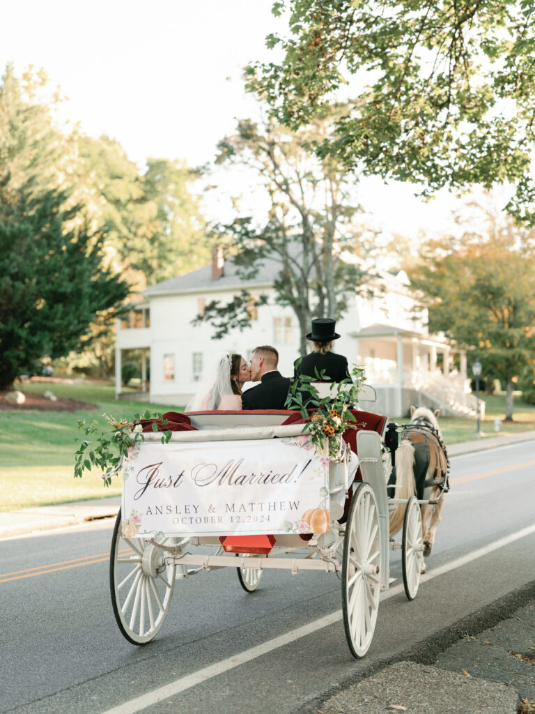 horse drawn carriage